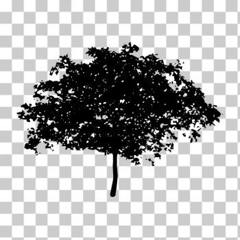 SVG Silhouette vector illustration of spreading tree top SVG Silhouette vector illustration of spreading tree top