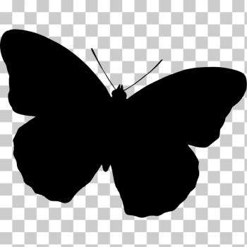SVG Simple butterfly silhouette SVG Simple butterfly silhouette