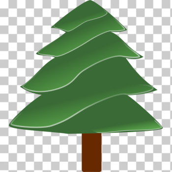 SVG Simple evergreen vector image
