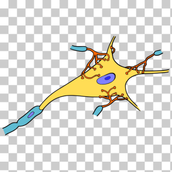 SVG Simple neuron vector drawing SVG Simple neuron vector drawing