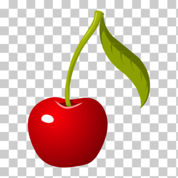 SVG Single cherry SVG Single cherry