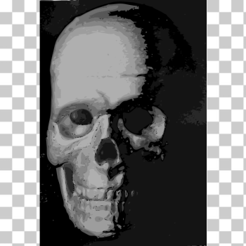 SVG Skull 8c SVG Skull 8c