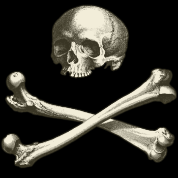 SVG Skull and bones with black background SVG Skull and bones with black background