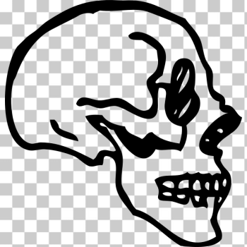 SVG skull profile SVG skull profile