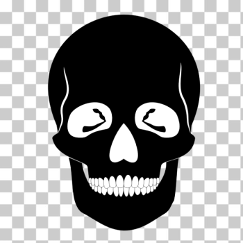 SVG Skull silhouette drawing SVG Skull silhouette drawing