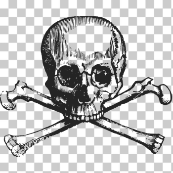 SVG Skull with bones SVG Skull with bones