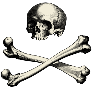 SVG Skull with bones vector image SVG Skull with bones vector image