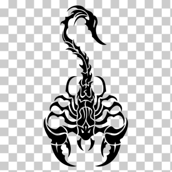 SVG Sleek tribal scorpion
