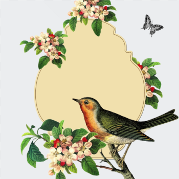 SVG Small bird on an apple blossom tree vector image SVG Small bird on an apple blossom tree vector image