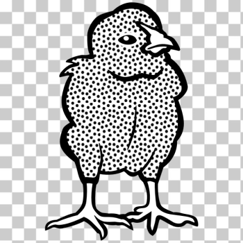 SVG Small chick SVG Small chick