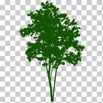SVG Small tree symbol SVG Small tree symbol