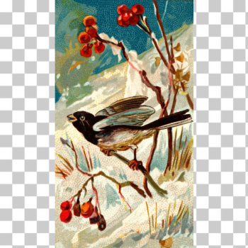 SVG Snow bird SVG Snow bird
