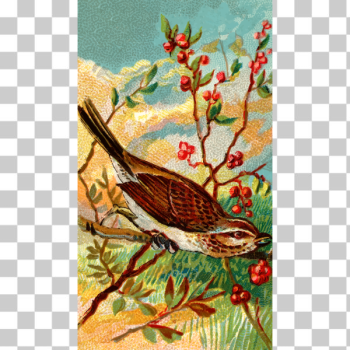 SVG Song bird SVG Song bird