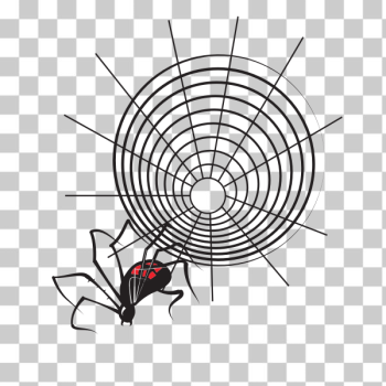 SVG Spider net clip art SVG Spider net clip art