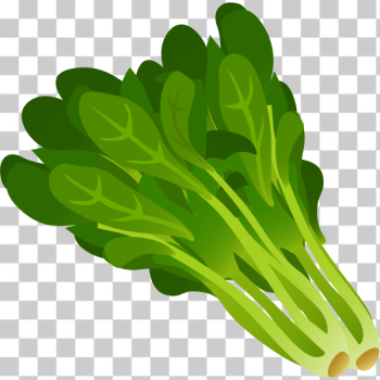 SVG Spinach SVG Spinach