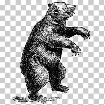 SVG standing bear