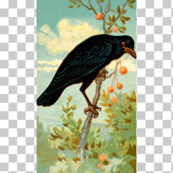 SVG Standing crow SVG Standing crow