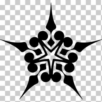 SVG Star design silhouette