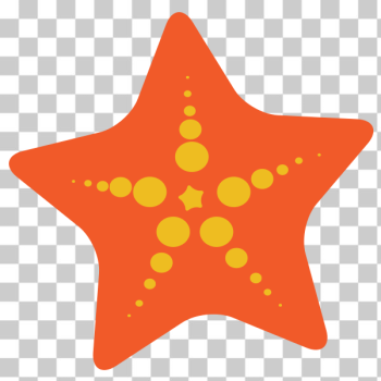 SVG Starfish SVG Starfish