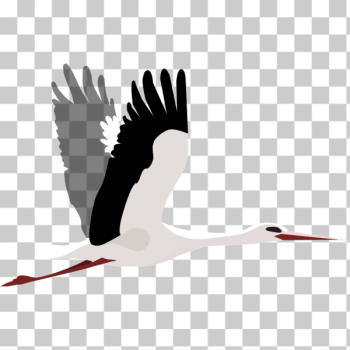 SVG Stork fly SVG Stork fly