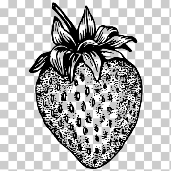 SVG Strawberry outline vector illustration SVG Strawberry outline vector illustration