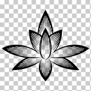 SVG Stylized Flower Silhouette SVG Stylized Flower Silhouette