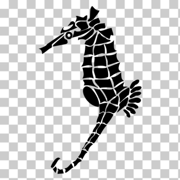 SVG Stylized seahorse SVG Stylized seahorse
