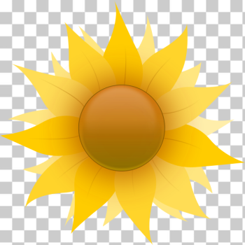 SVG Sunflower SVG Sunflower