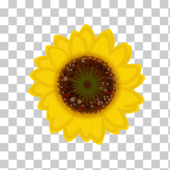 SVG Sunflower SVG Sunflower