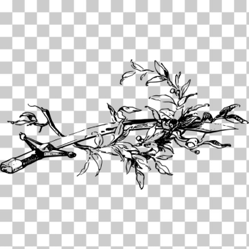 SVG Sword and olive branch SVG Sword and olive branch