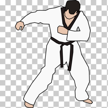 SVG Taekwondo fighter