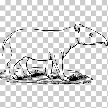 SVG Tapir illustration