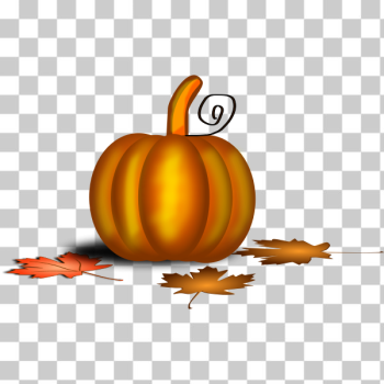 SVG Thank 08 SVG Thank 08