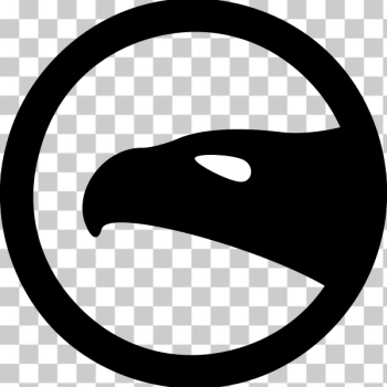 SVG The eagle vision SVG The eagle vision