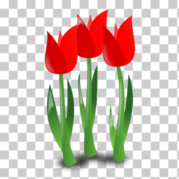 SVG Three tulips SVG Three tulips