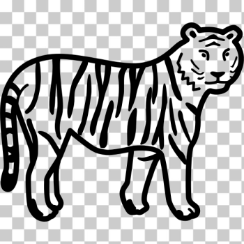 SVG tiger SVG tiger