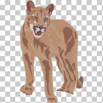 SVG tiger SVG tiger