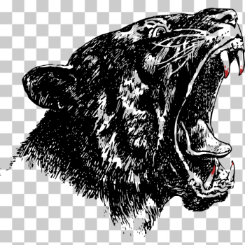 SVG Tiger head vector drawing SVG Tiger head vector drawing