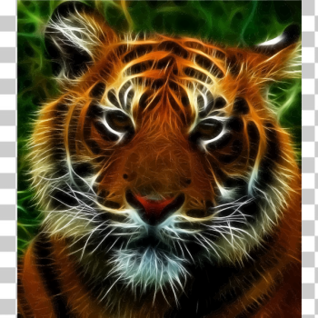 SVG Tiger Tiger Burning Bright SVG Tiger Tiger Burning Bright