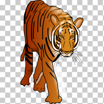 SVG Tiger wild cat