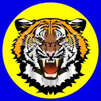 SVG Tiger yellow on blue sticker vector drawing SVG Tiger yellow on blue sticker vector drawing