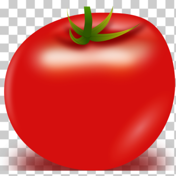 SVG Tomato-1573561296 SVG Tomato-1573561296