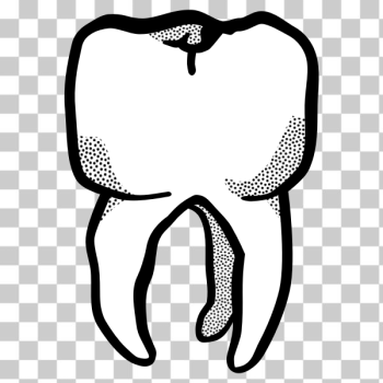 SVG Tooth SVG Tooth