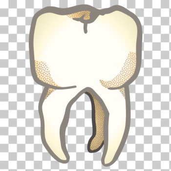 SVG tooth - coloured SVG tooth - coloured
