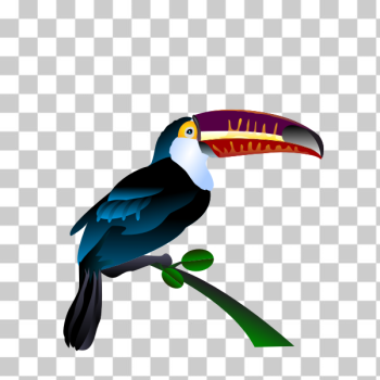 SVG Toucan image SVG Toucan image