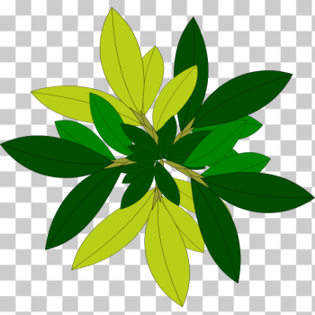 SVG Tree leaves SVG Tree leaves