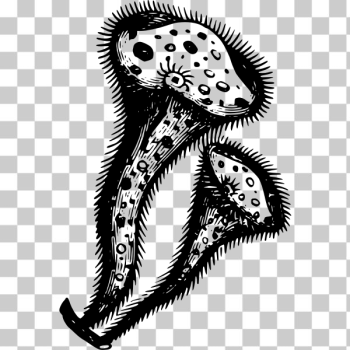 SVG Trumpet microscopic animals SVG Trumpet microscopic animals