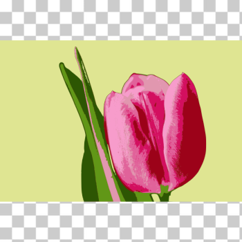 SVG Tulip SVG Tulip