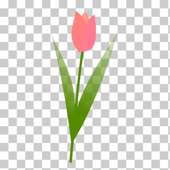 SVG Tulip SVG Tulip