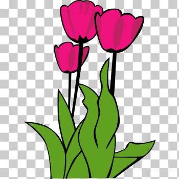 SVG Tulips SVG Tulips